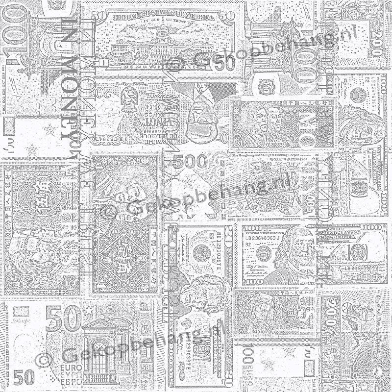 Behang Expresse - Thomas - bankbiljetten grijs