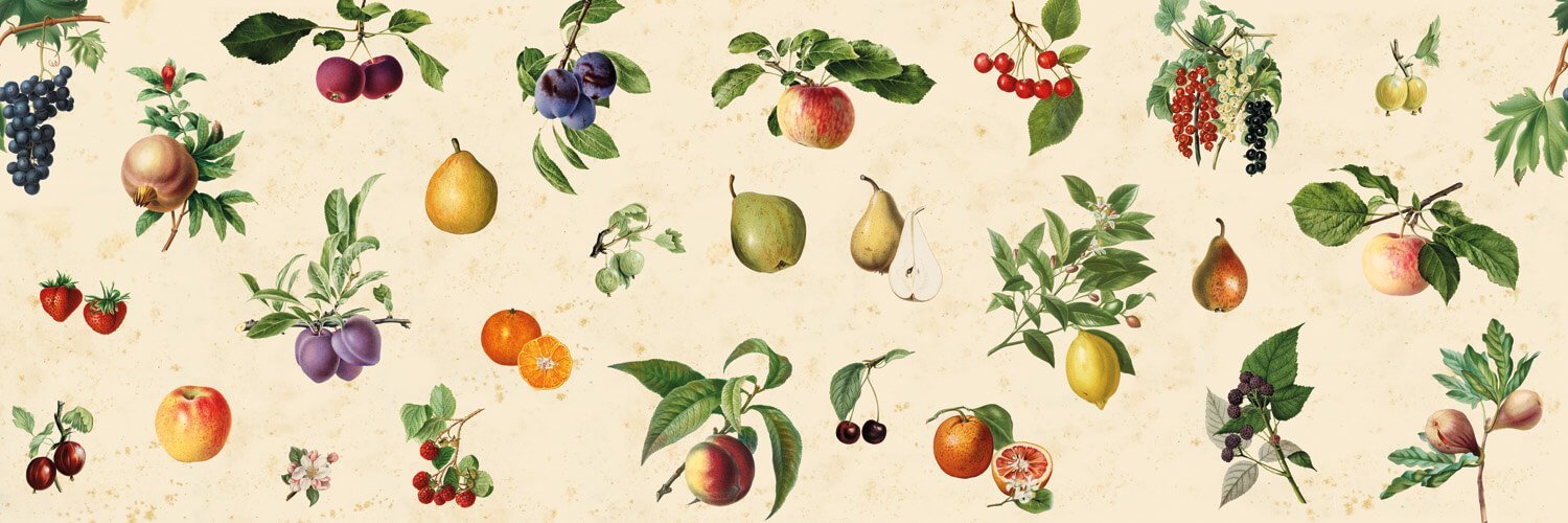 Vintage Fruit - Spatwand met print
