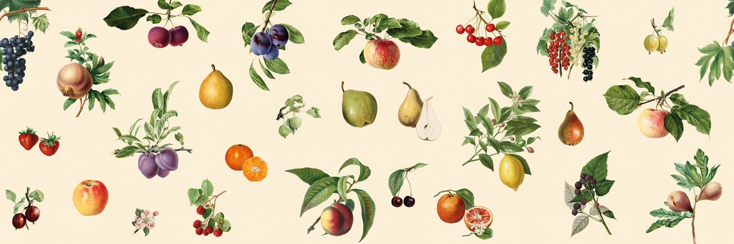 Vintage Fruit - Spatwand met print - Extra motief
