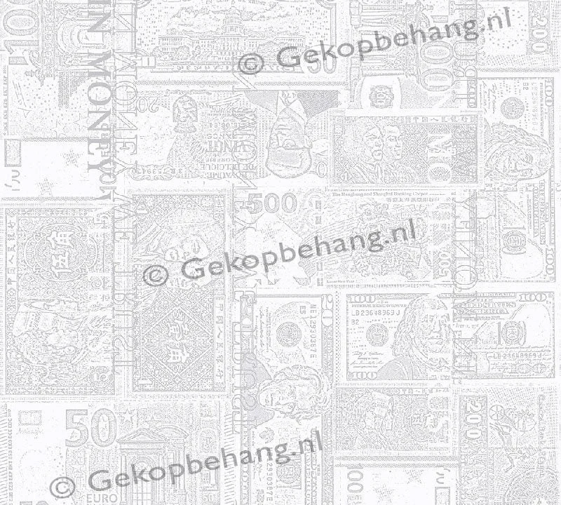 INGK Tapete - Thomas - bankbiljetten licht grijs