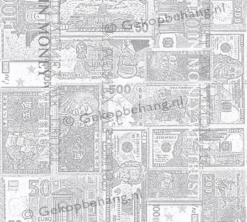 INGK Tapete - Thomas - bankbiljetten grijs