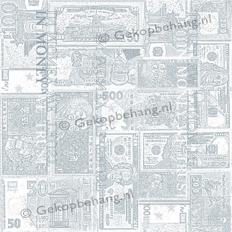 INGK Behang - Thomas - bankbiljetten blauw