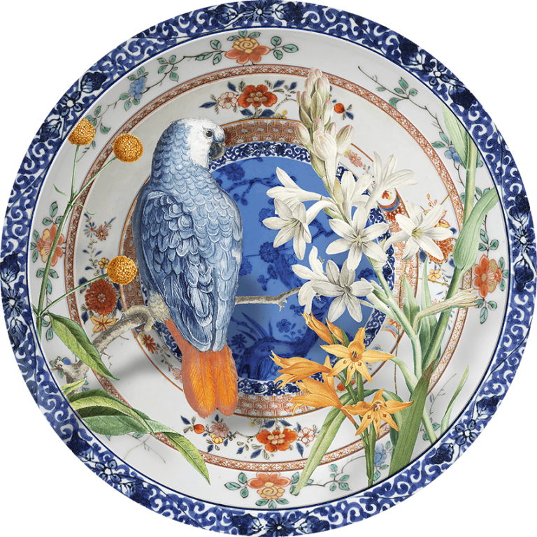 Wall Circle - Decorative Plate - Parrot