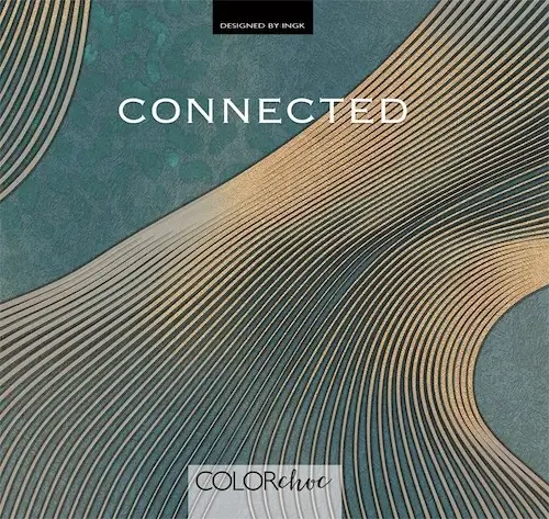 Cover van het behangboek Connected