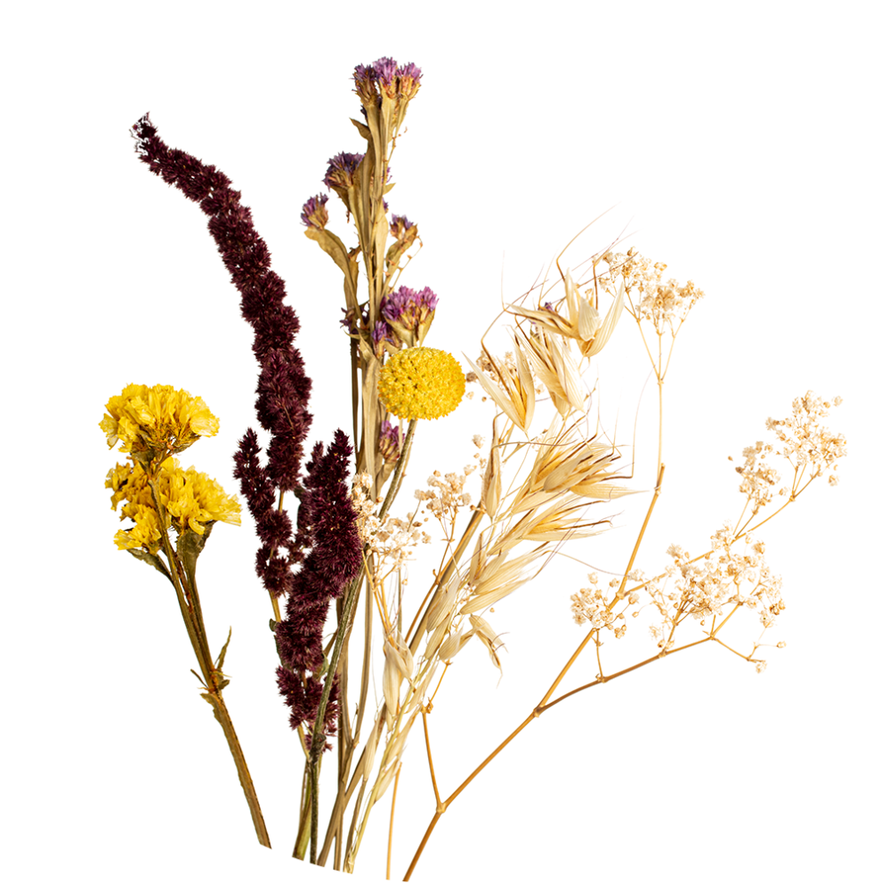 Cercle Mural - Dry Yellow