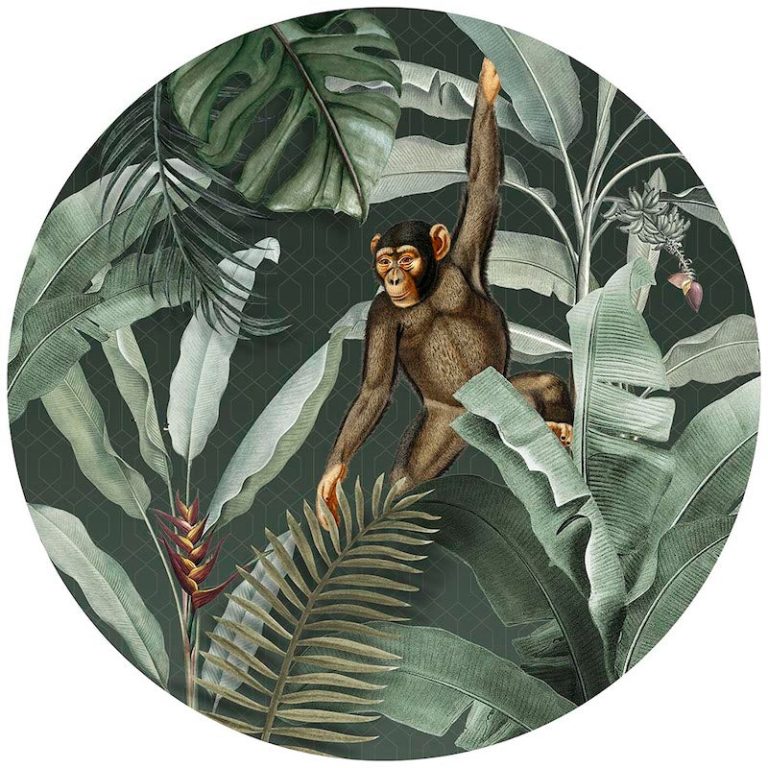 Cercle Mural - Vintage Monkey Green