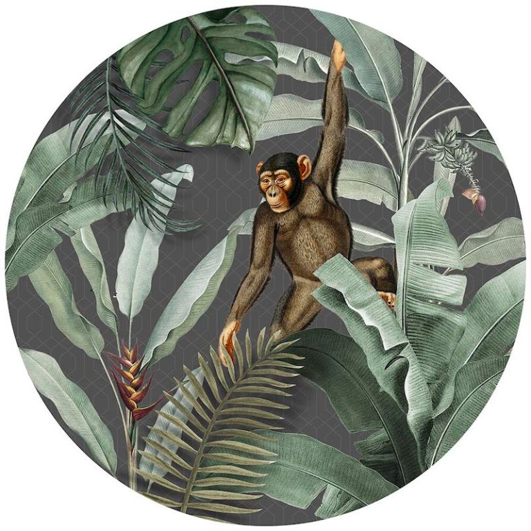Cercle Mural - Vintage Monkey Gray