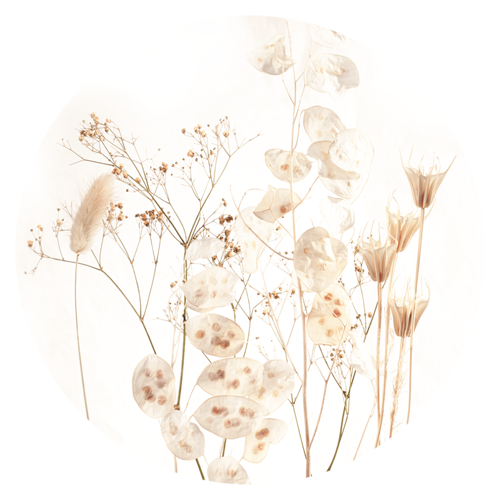 Cercle Mural - Dried Senses
