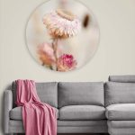 Muurcirkel - Dried Floral