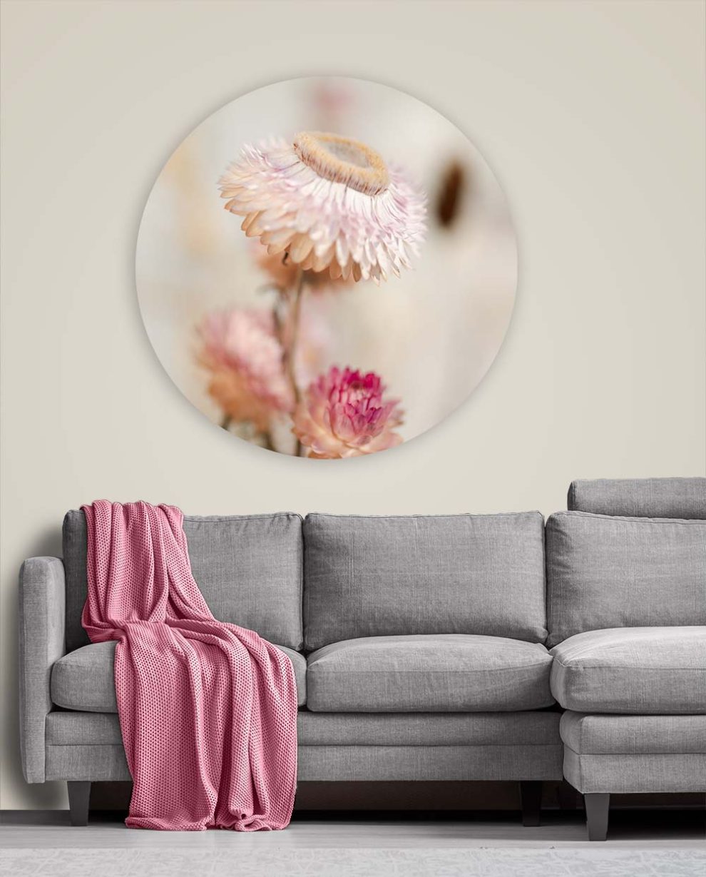 Cercle Mural - Dried Floral