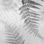 DW3328 - DW Original Échantillon