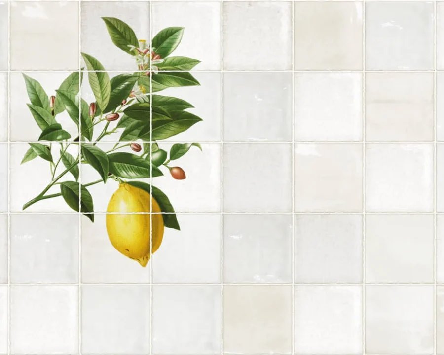 Antikes Fliesendesign Küchenrückwand mit botanischem Zitronenzweig auf verwitterten weißen Fliesen DW3339