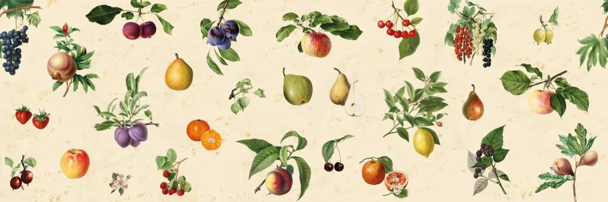 Vintage fruit spatwand DW3342 met botanische illustraties van peren, appels en bessen