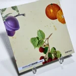 Vintage Fruit - Crédence avec impression — Staal