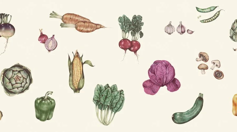 Vintage Gemüse Küchenrückwand DW3344 mit botanischen Illustrationen von Brokkoli, Paprika und Aubergine