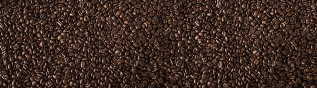 Kaffeebohnen - Küchenrückwand Muster DW4402