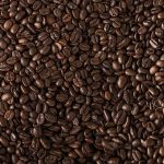 DW4402 - DW Original Échantillon