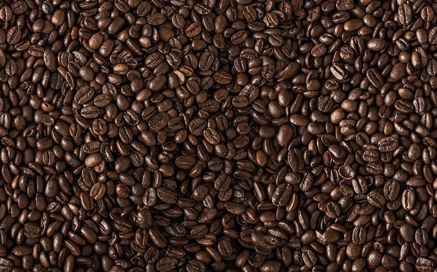Coffee Bean Backsplash