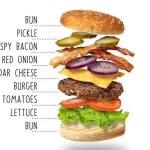 Exploded burger on white with every layer labelled, from bun to bacon