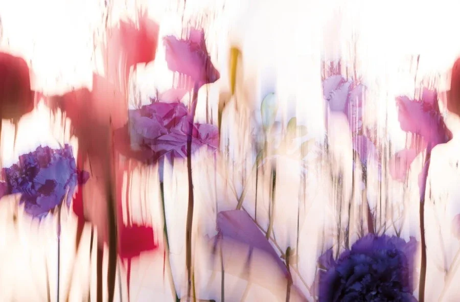Crédence aquarelle fleurs DW6004 avec fleurs translucides roses et violettes sur fond clair