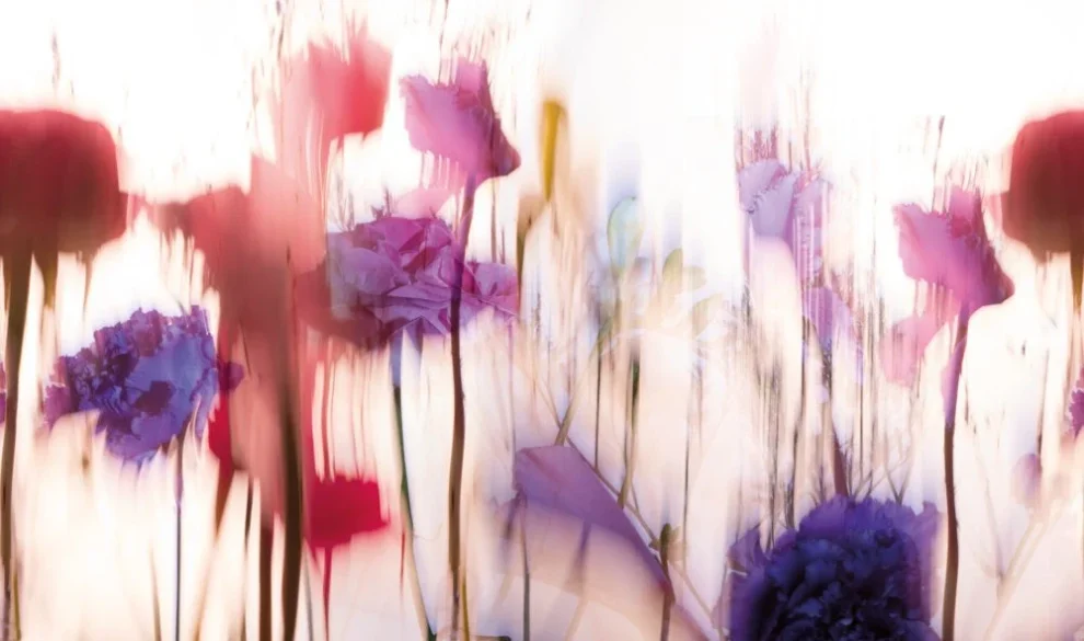 Crédence aquarelle fleurs DW6004 avec fleurs translucides roses et violettes sur fond clair