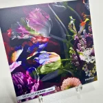 DW7319 - DW Original Sample