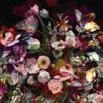 Donker bloemstilleven met tulpen en rozen in warme kleuren op zwart