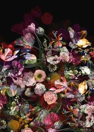 Blumen-Rückwand - DW7319