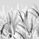 Keukenwand met print - Varens