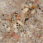 DW7376 - DW Original Staal