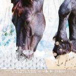 Behang Forever - Wanna Haves