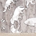 Behang Bears - Wanna Haves