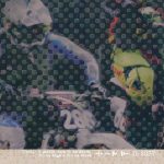 Behang Jump - Wanna Haves