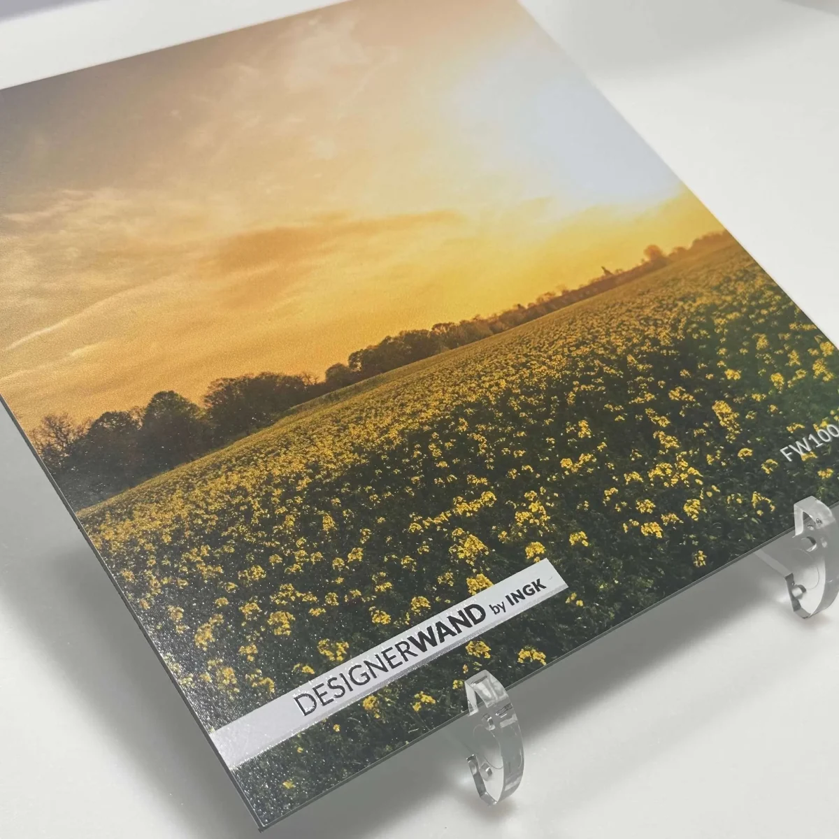 Muster Sunset Küchenrückwand FW1004 mit goldenem Sonnenuntergang über Rapsfeld