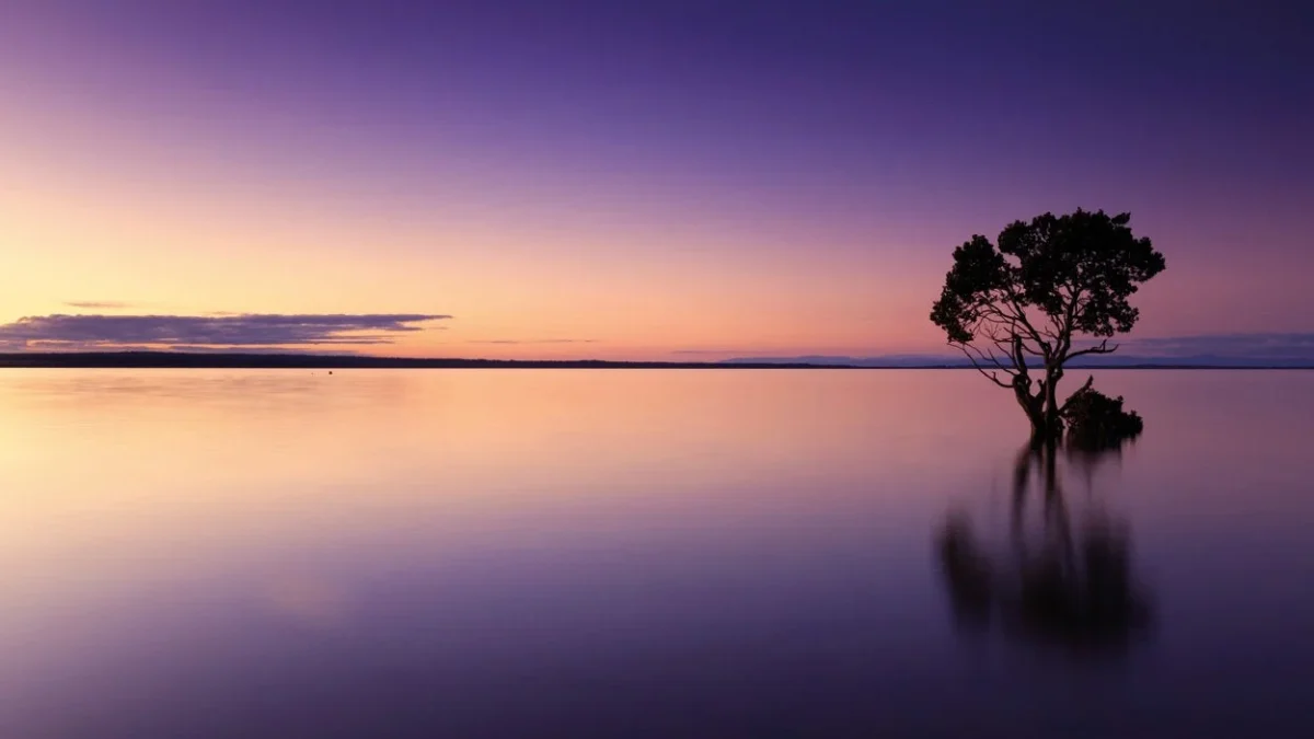 Küchenrückwand - Purple Sunset