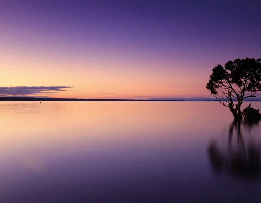Crédence de cuisine - Purple Sunset