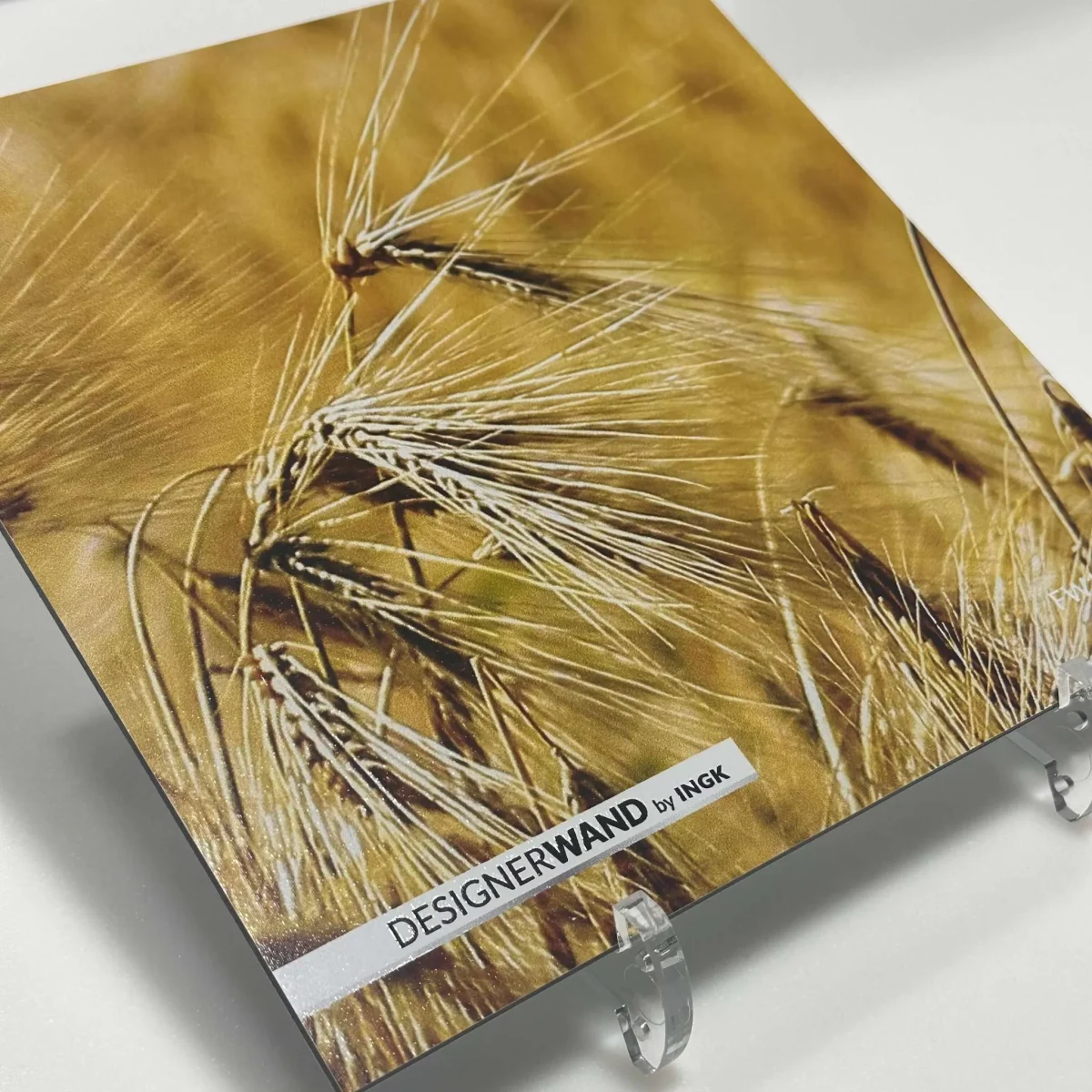 Staal Corn Field spatwand FW1006 met close-up van gouden tarwearen