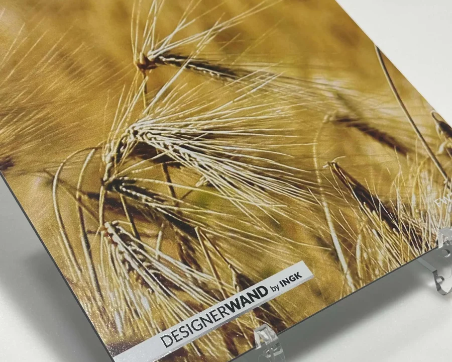 Muster Corn Field Küchenrückwand FW1006 mit Nahaufnahme goldener Weizenähren