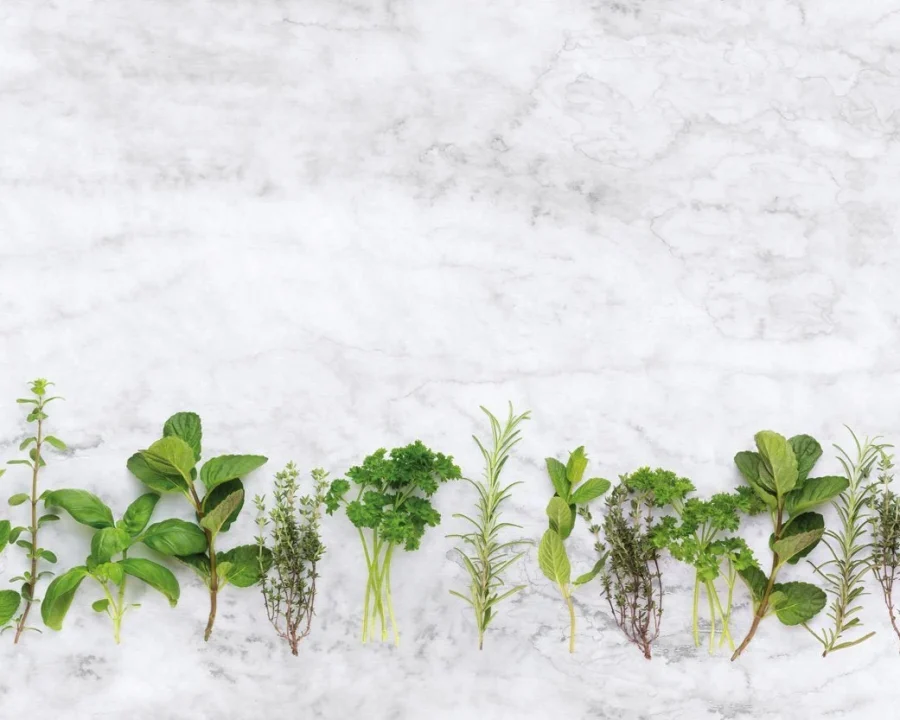 Kitchen splashback - Herbs with Concrete