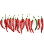 Kitchen splashback - Chili Peppers