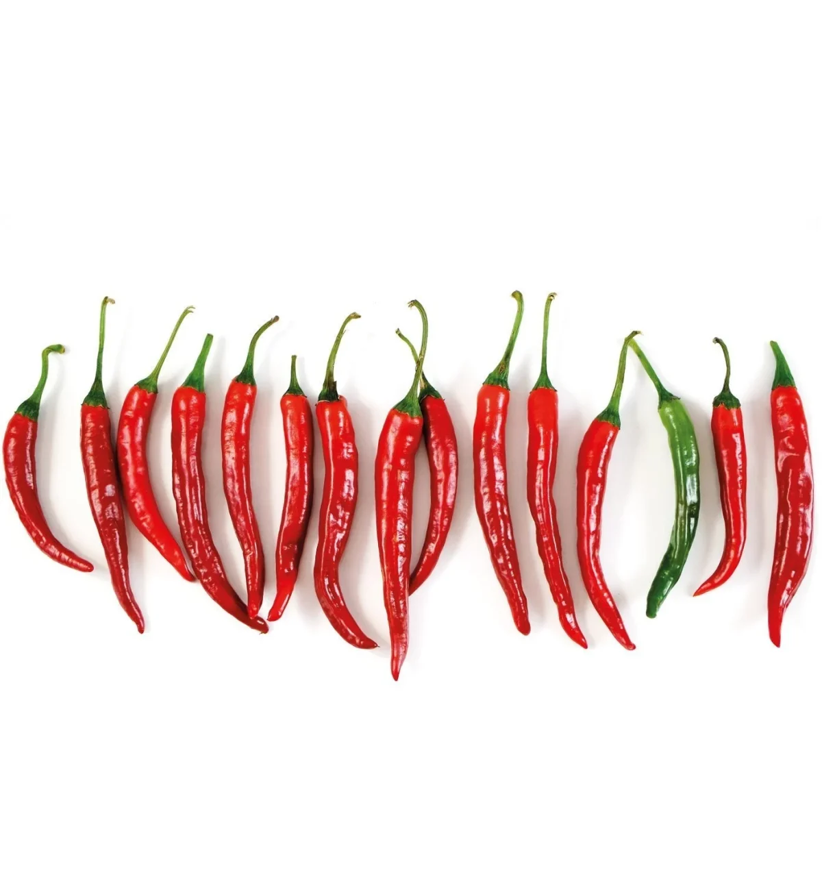 Piments Chili - Échantillon Crédence FW1010