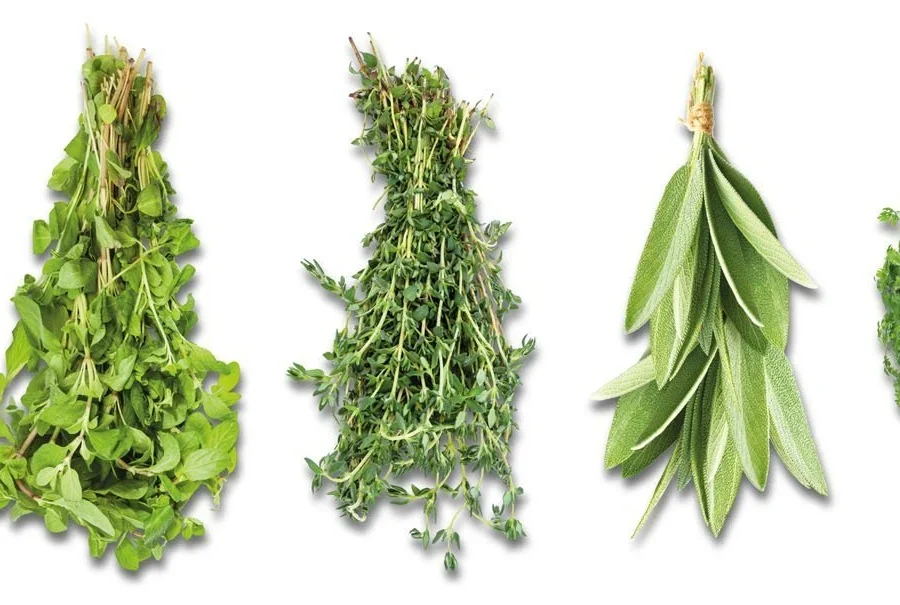 Kitchen backsplash - Herb Bunches