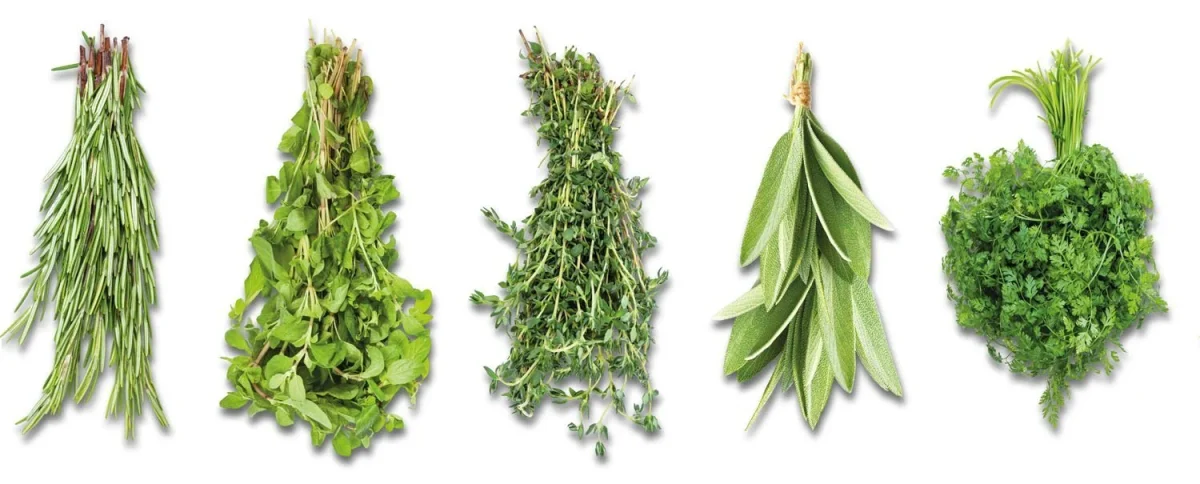 Bouquets d'Herbes - Échantillon Crédence FW1013