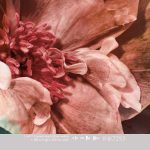 Behang Colorful - INK7293