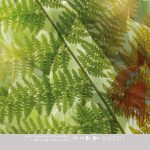 Behang Colorful - Natures Green INK7311