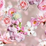 Wallpaper Colorful - More Magnolia INK7318