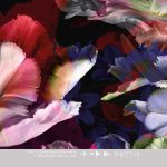 Wallpaper Colorful - Flower Explosion (dark) INK7319