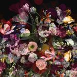 Induction Protector - DW7319