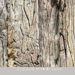 INGK Behang - Innsbruck