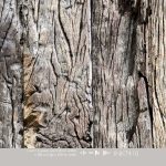 INGK Behang - Clermont Ferrand